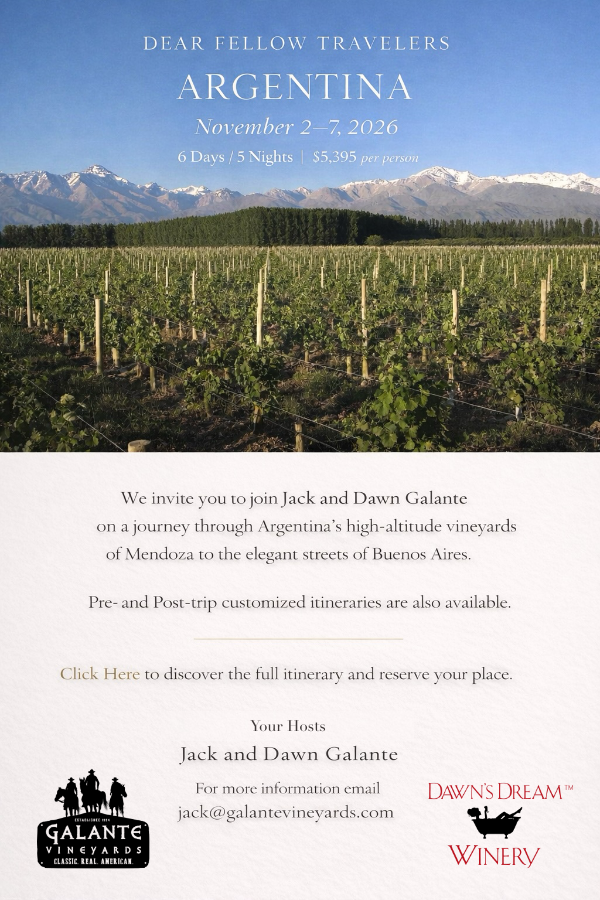 Argentina travel invitation with vineyards, text overlay, and distant snow-capped mountains under a blue sky.